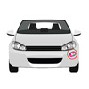 Frame Left Fog Light