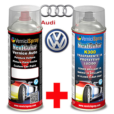 Automotive touch up kit spray AUDI / VOLKSWAGEN 100