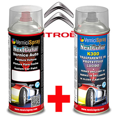 Automotive Touch Up Kit Spray CITROEN C4