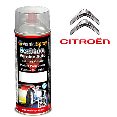 Spray Paint for car touch up CITROEN C4