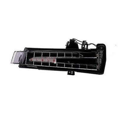 Right Wing Mirror Indicator Turn Signal 