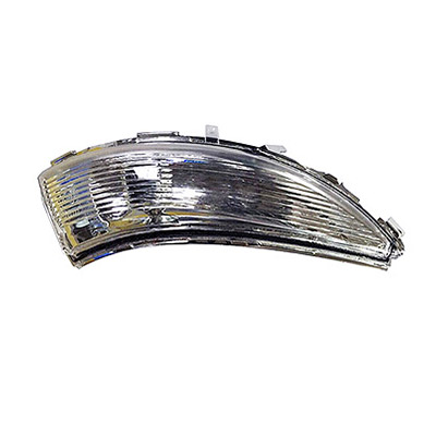 Right Wing Mirror Indicator Turn Signal 