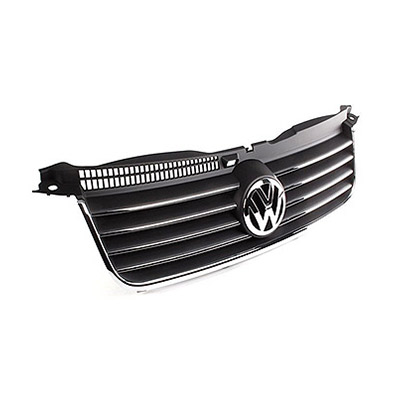 Radiator Grille Molding