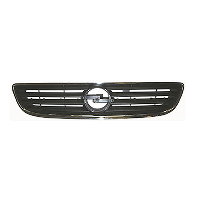Radiator Grille Molding