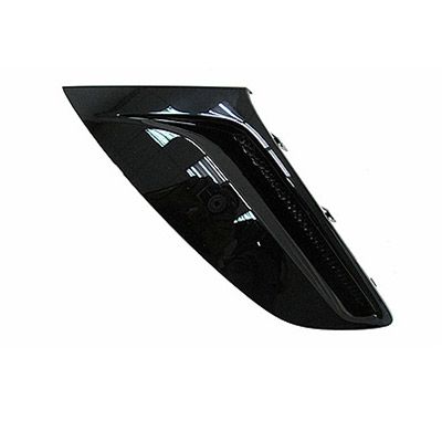 Front Bumper Grille - Left side