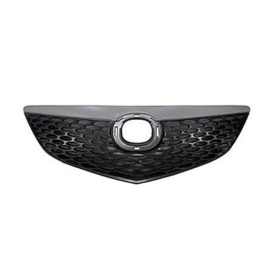 Radiator Grille - Black