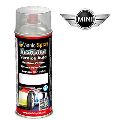 Spray Paint for car touch up MINI PACEMAN