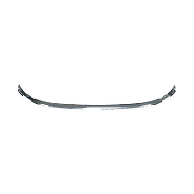 Front Bumper Molding