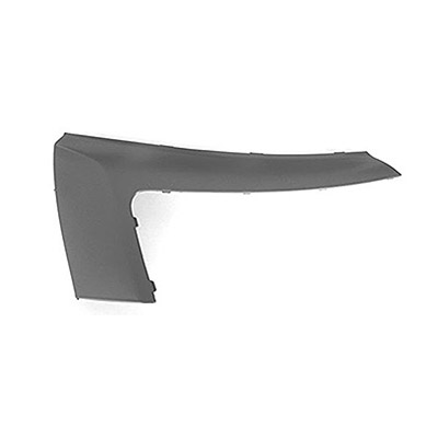 Front Bumper Molding - Right side