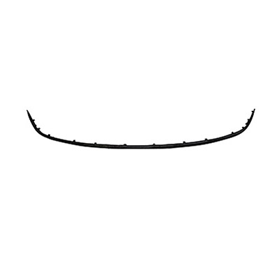 Rear Bumper Molding