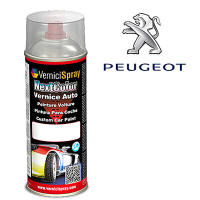 Spray Paint for car touch up PEUGEOT BIPPER