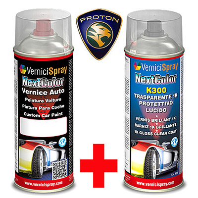 Automotive touch up kit spray PROTON 315