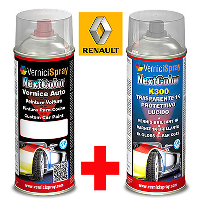 Automotive Touch Up Kit Spray RENAULT TRAFIC