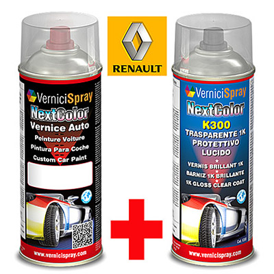 Automotive Touch Up Kit Spray RENAULT TWINGO