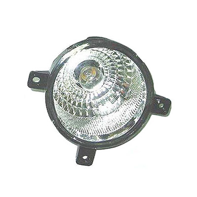 Rear Fog Light - Right side
