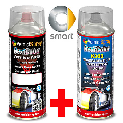 Automotive Touch Up Kit Spray SMART CITY