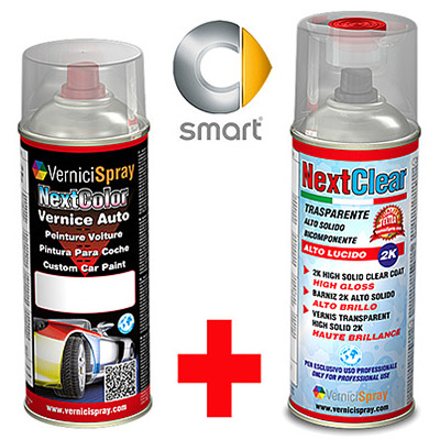 The best colour match Car Touch Up Kit SMART FORTWO