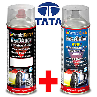 Automotive touch up kit spray TATA PICK UP