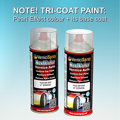 Spray Car Touch Up Paint RENAULT CLIO