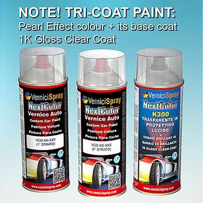 Automotive Touch Up Kit Spray RENAULT CLIO