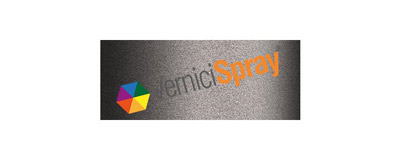 evt gris met. jantes ( cerchioni)