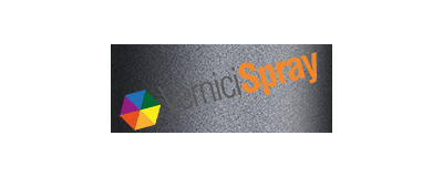 ZUC zuc medium graphite matt (interior) FORD USA MUSTANG