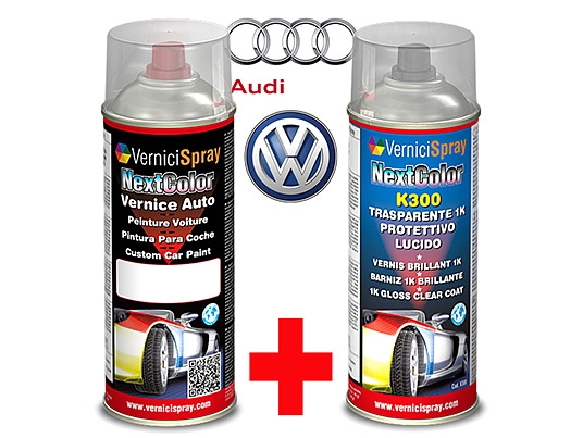 Automotive Touch Up Kit Spray AUDI / VOLKSWAGEN TT COUPE