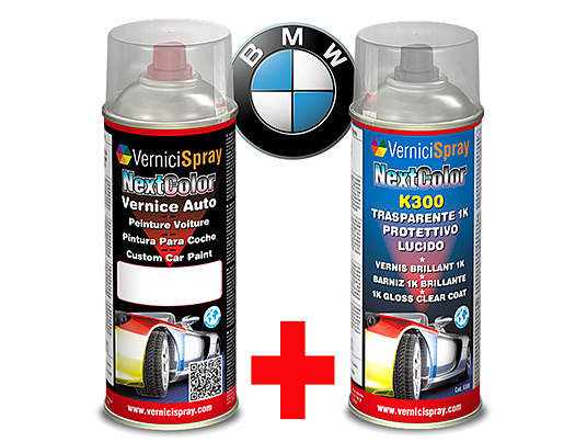 Automotive Touch Up Kit Spray BMW 5ER LIMOUSINE