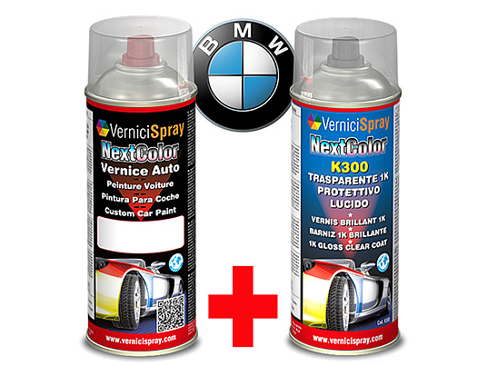 Automotive touch up kit spray BMW SERIE 3