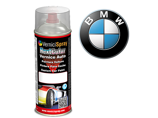 Spray Paint for car touch up BMW M5