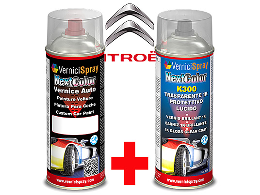 Automotive Touch Up Kit Spray CITROEN AX