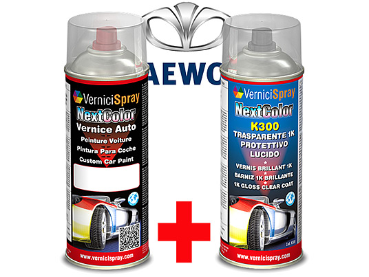 Automotive touch up kit spray DAEWOO KALOS