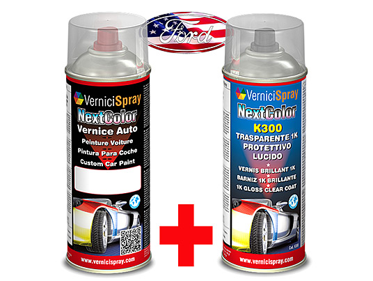 Automotive Touch Up Kit Spray FORD USA ECONOLINE