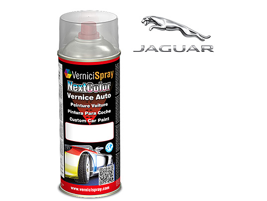 Spray paint for car touch up JAGUAR TUTTI I MODELLI