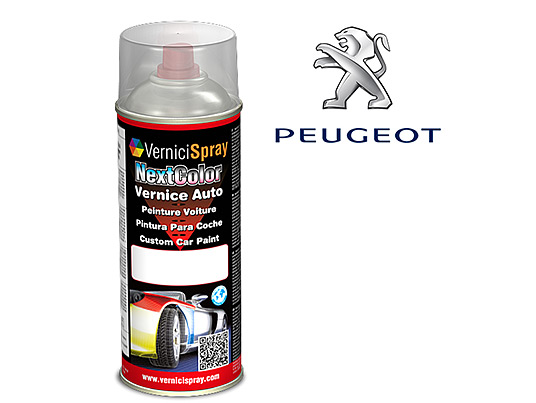 Spray Paint for car touch up PEUGEOT 206