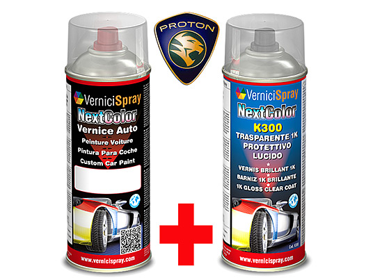 Automotive touch up kit spray PROTON 315