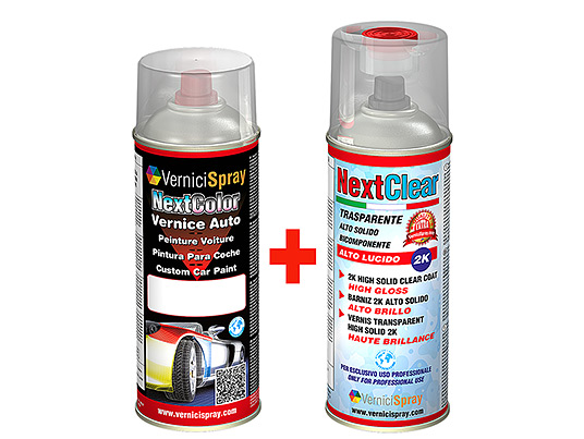 The best colour match Car Touch Up Kit HYUNDAI H1