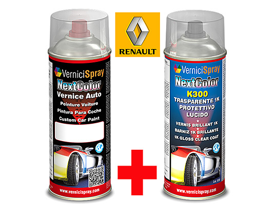 Automotive Touch Up Kit Spray RENAULT TWINGO