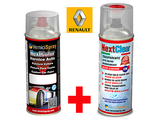 The best colour match Car Touch Up Kit RENAULT CLIO