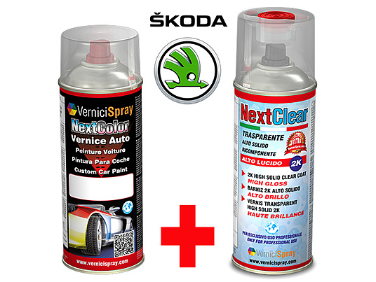 The best colour match Car Touch Up Kit SKODA RAPID