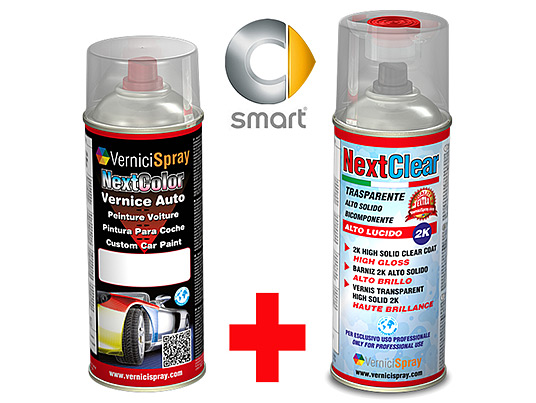 The best colour match Car Touch Up Kit SMART FORFOUR