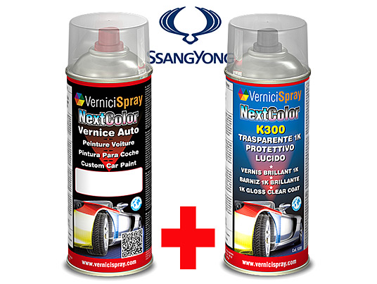 Automotive Touch Up Kit Spray SSANGYONG CHAIRMAN W