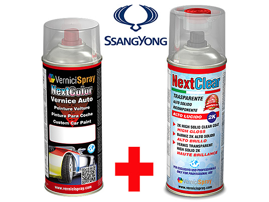 The best colour match Car Touch Up Kit SSANGYONG ACTYON