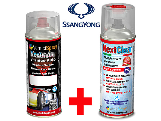 The best colour match Car Touch Up Kit SSANGYONG REXTON