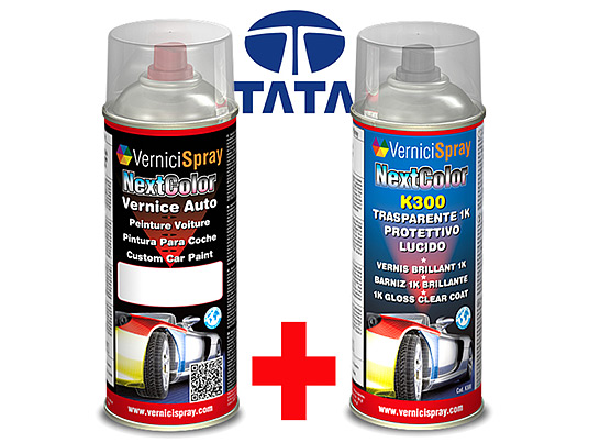 Automotive Touch Up Kit Spray TATA XENON