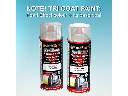 Spray Car Touch Up Paint HONDA CR-V