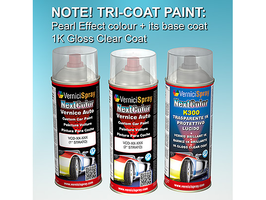 Automotive Touch Up Kit Spray MAZDA CX-7